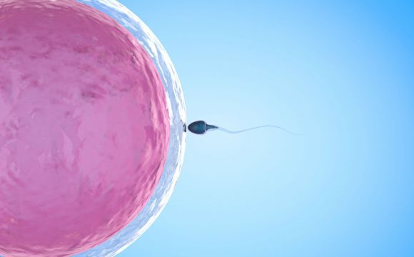 Καθοδήγηση και παρακολούθηση για εξωσωματική γονιμοποίηση –IVF