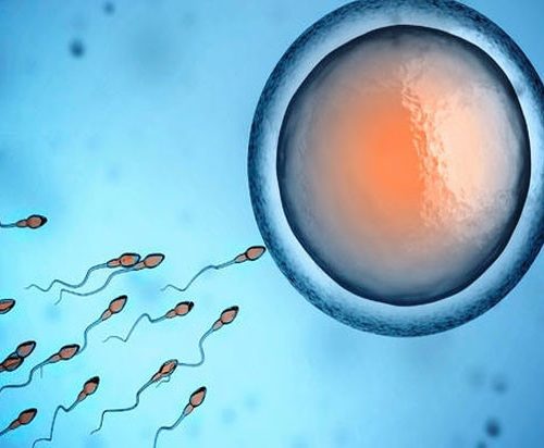 Smoking & Fertility
