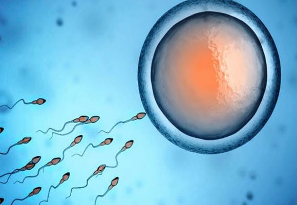 Smoking & Fertility