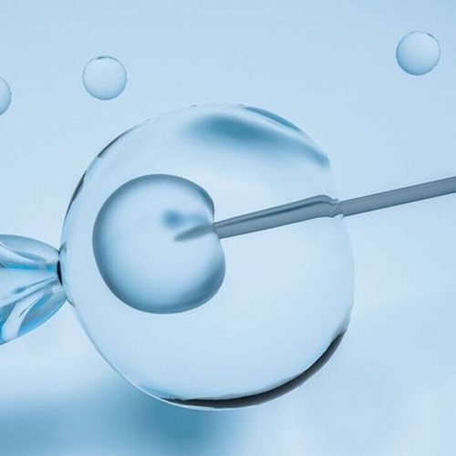 Νότες αισιοδοξίας μετά τα άλματα στην εξωσωματική γονιμοποίηση: Cnn.gr 08-11-2021