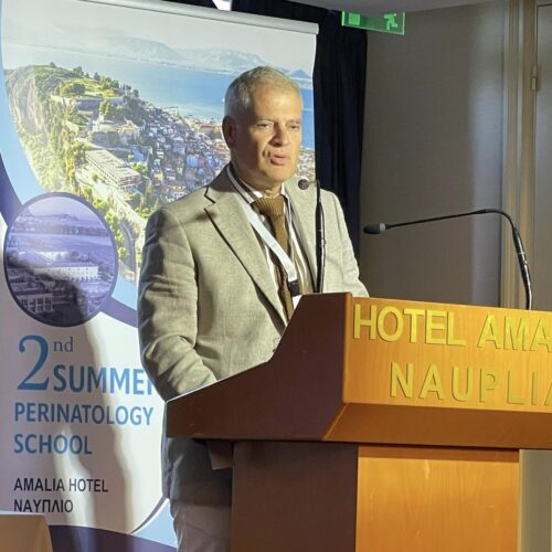 Ομιλία στο 2nd Summer Perinatology School – ΣΕΠΤ 2024